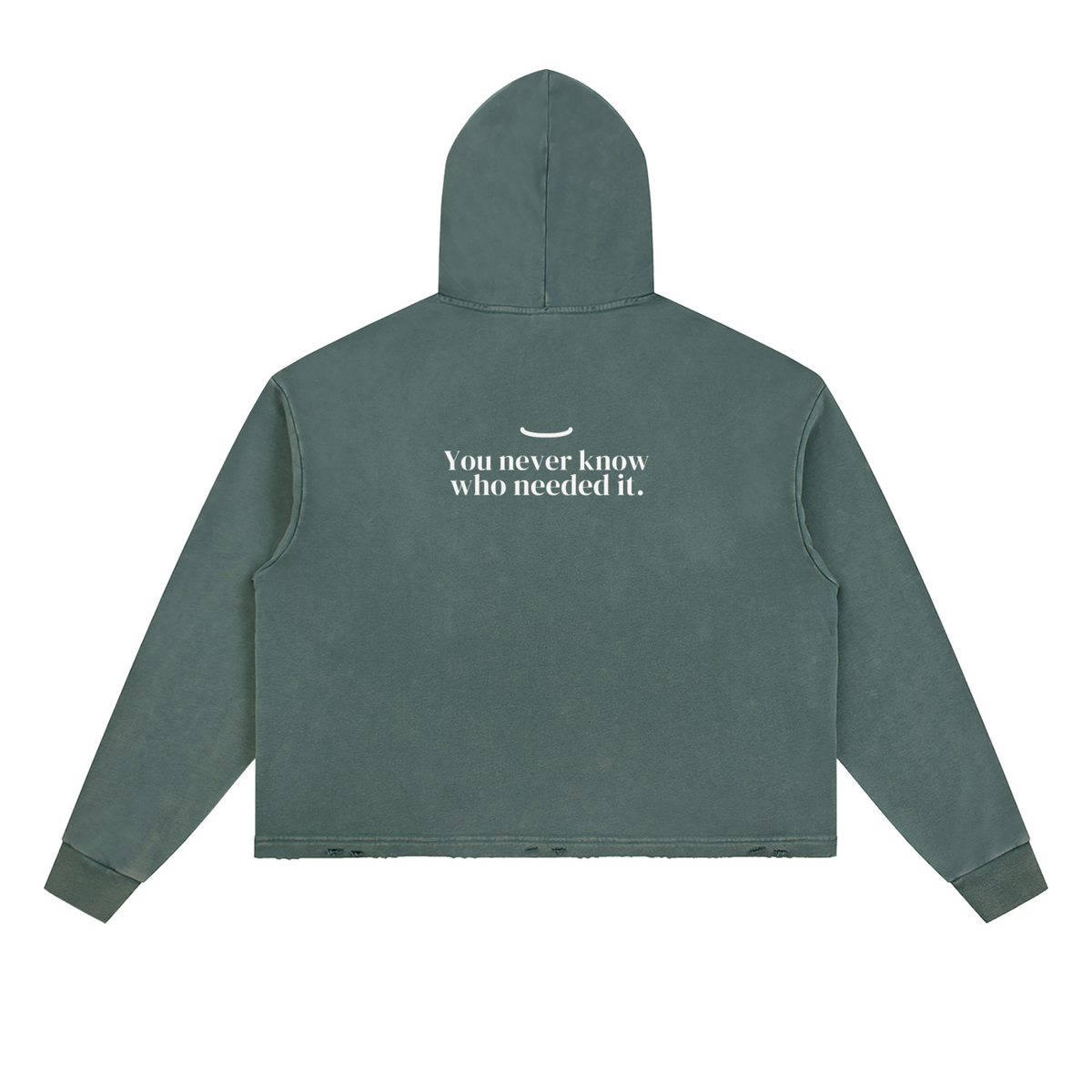 The Washed Hoodie in Gray Green, back: You never know who needed it. in bone
